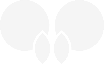 transparentLogo